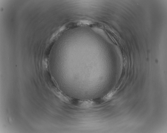 X0000076270621200610191741