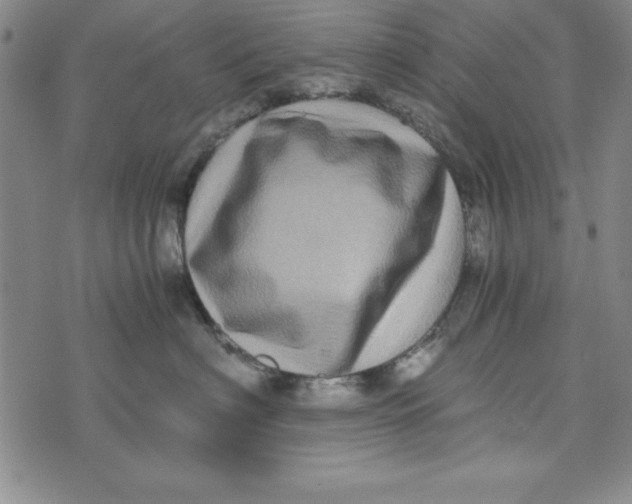 X0000076270622200610191741