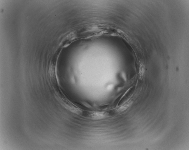 X0000076270623200610191741