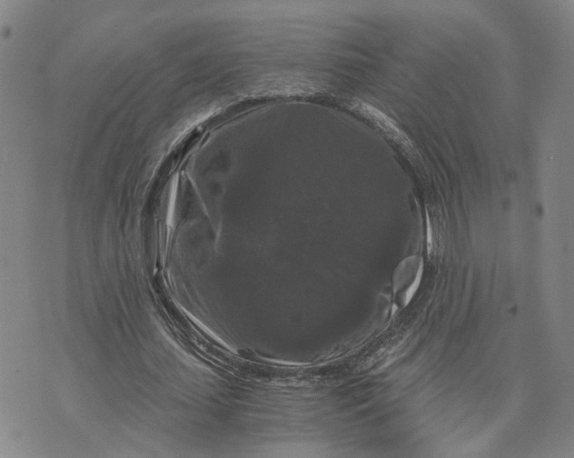 X0000076270627200610191740