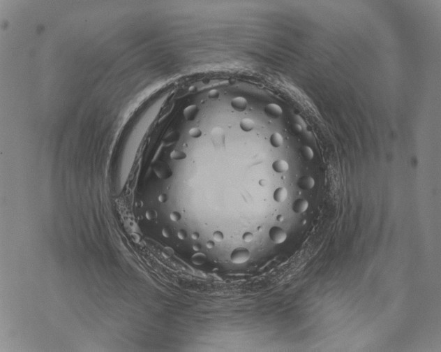 X0000076270628200610191740