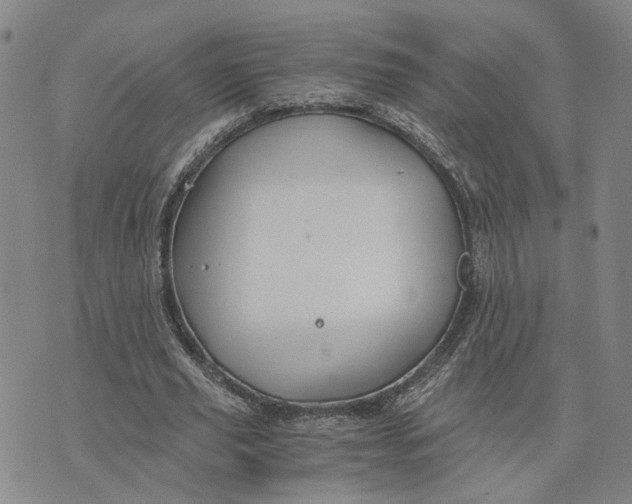 X0000076270629200610191740