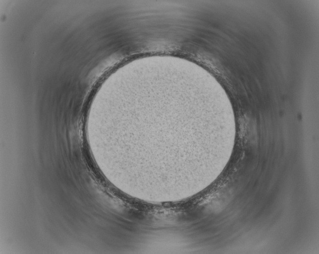 X0000076270632200610191740