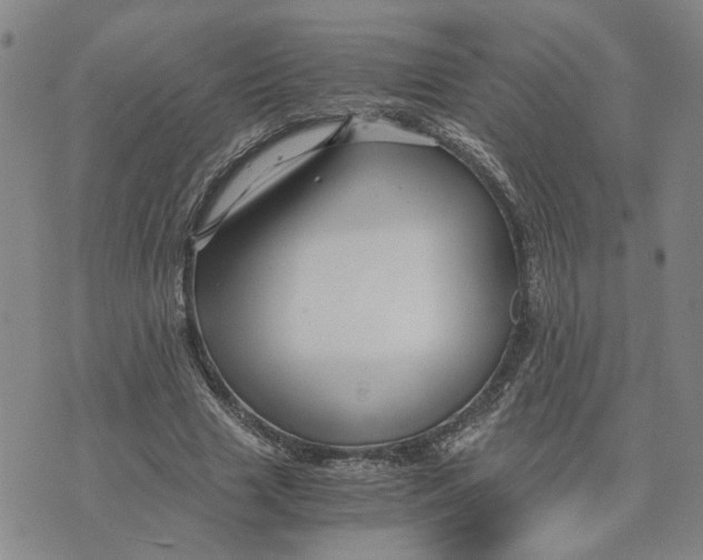 X0000076270633200610191740