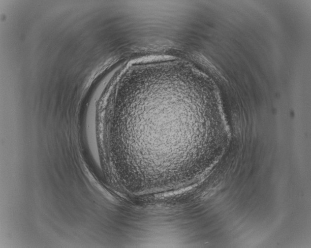 X0000076270634200610191740