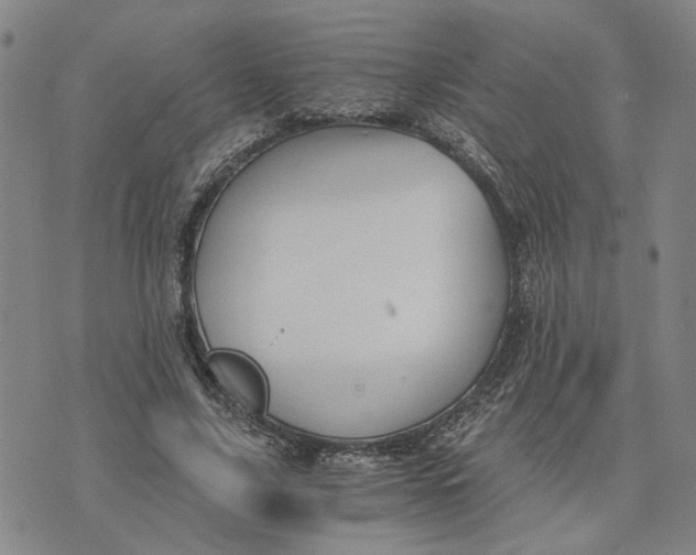 X0000076270635200610191740