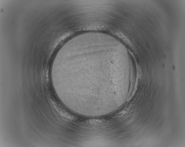 X0000076270636200610191740