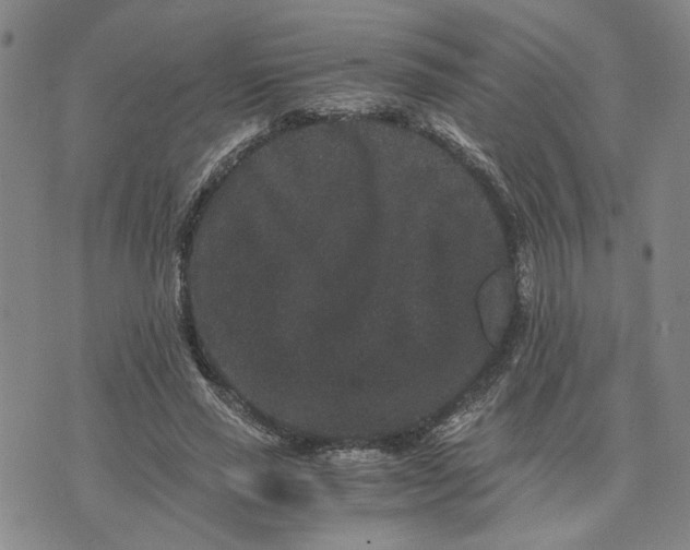 X0000076270637200610191740