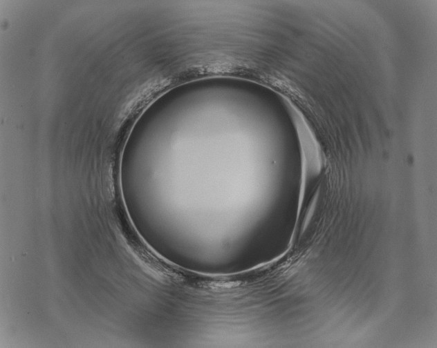 X0000076270638200610191740