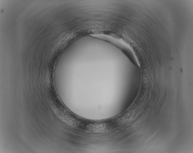 X0000076270639200610191740