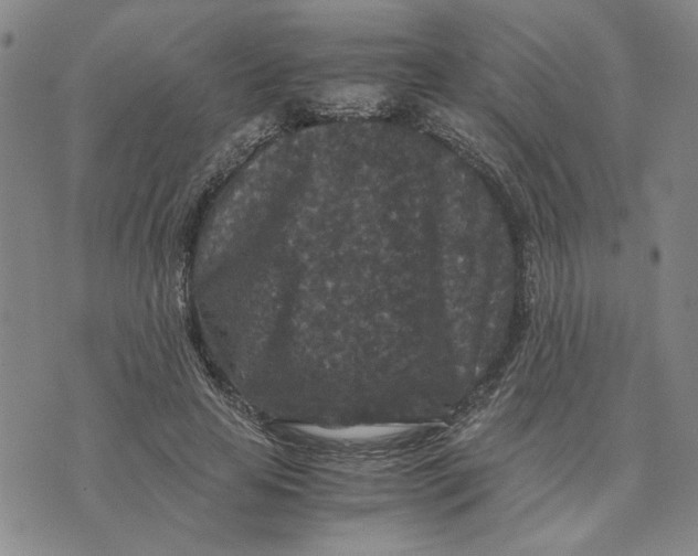 X0000076270641200610191740