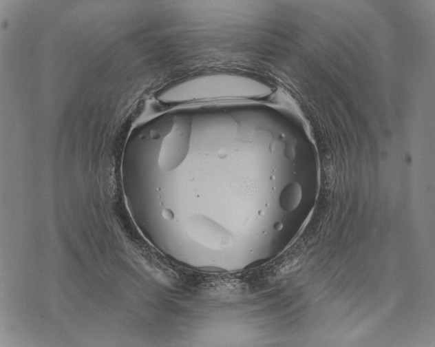 X0000076270642200610191740