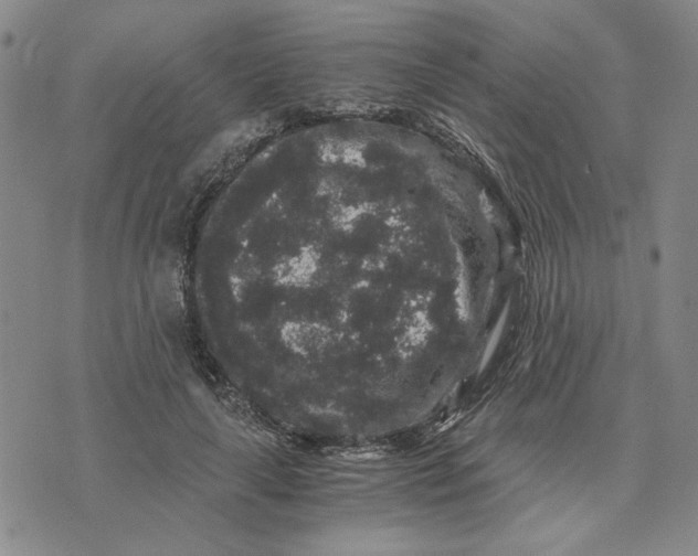 X0000076270643200610191740