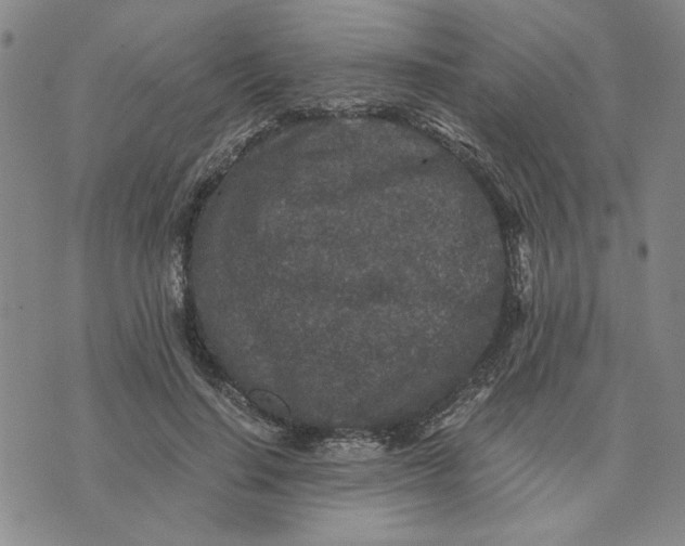 X0000076270644200610191740