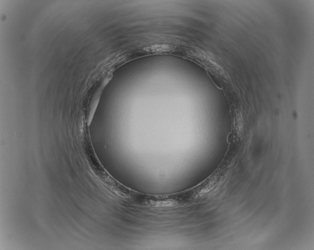 X0000076270645200610191740