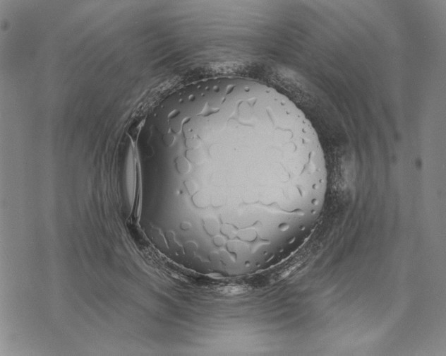 X0000076270646200610191740