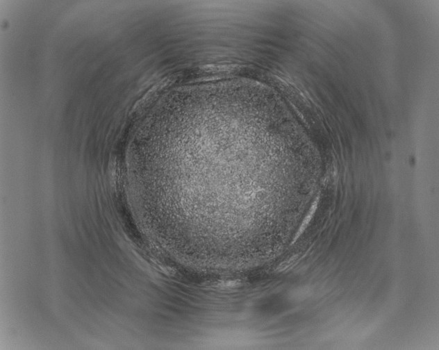 X0000076270647200610191740