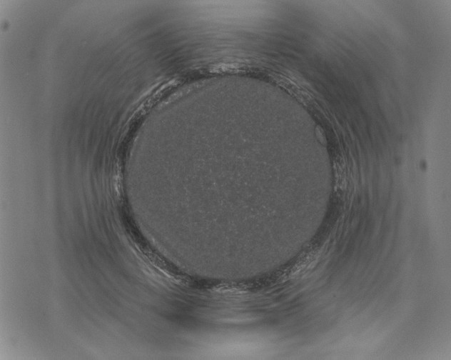 X0000076270648200610191740