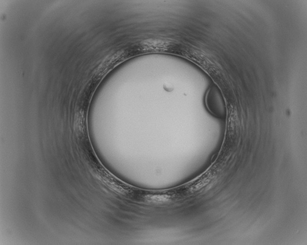 X0000076270649200610191740