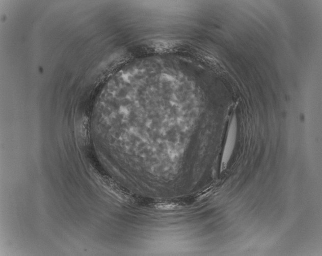 X0000076270650200610191740