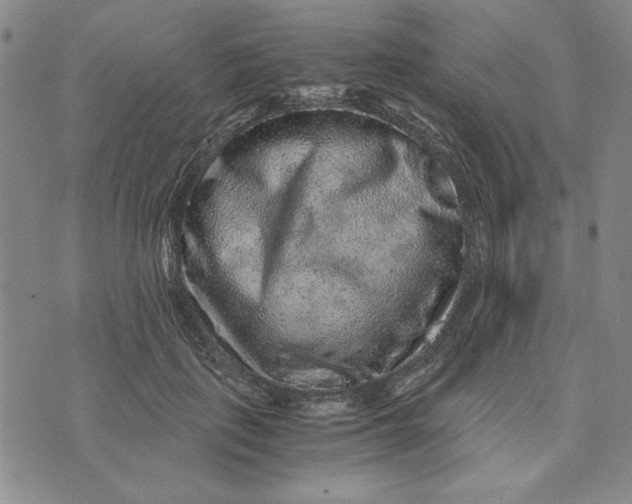 X0000076270651200610191740