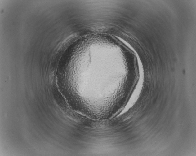 X0000076270652200610191740