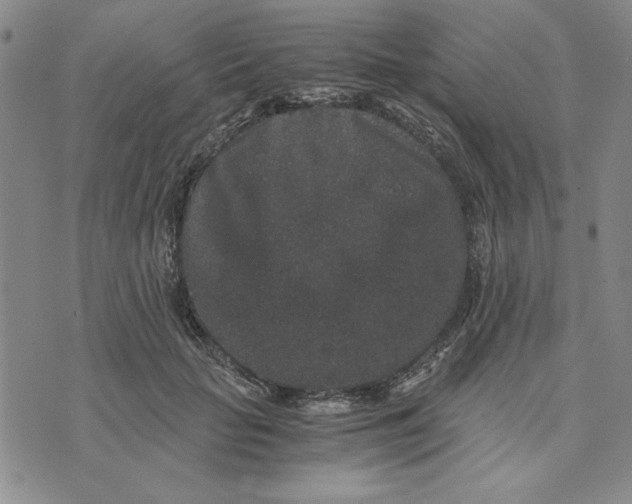 X0000076270653200610191740