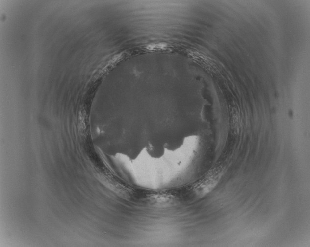 X0000076270654200610191741