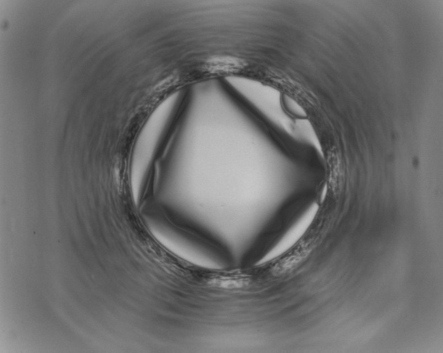 X0000076270655200610191741