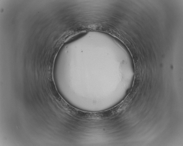 X0000076270656200610191741