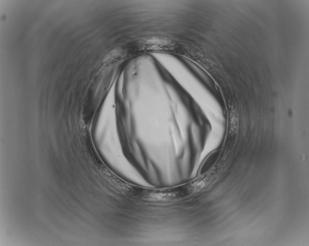 X0000076270657200610191741