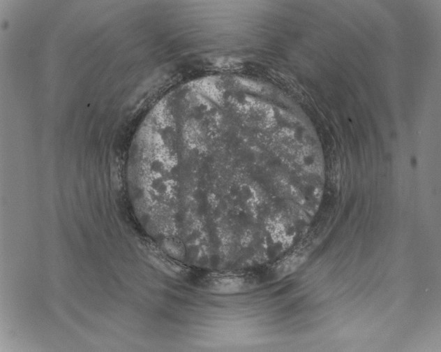 X0000076270658200610191741