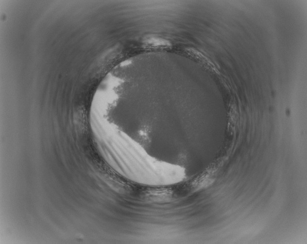 X0000076270659200610191741