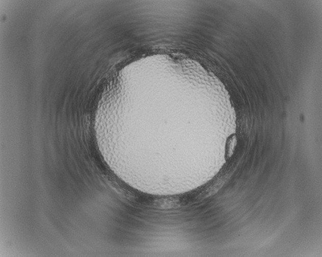 X0000076270660200610191741