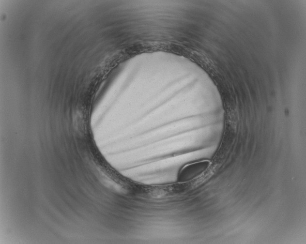 X0000076270662200610191741