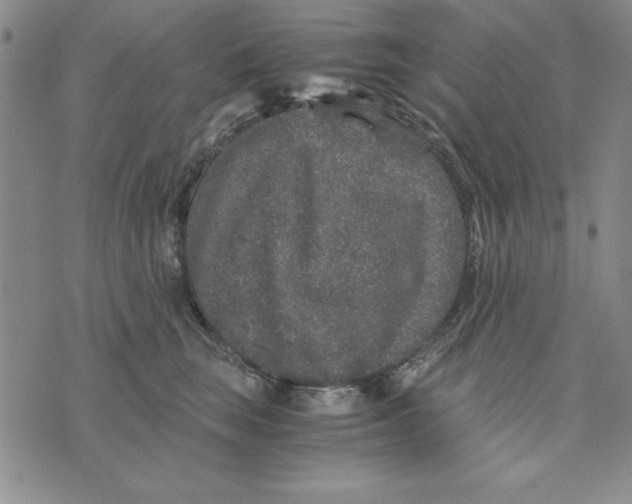 X0000076270663200610191741