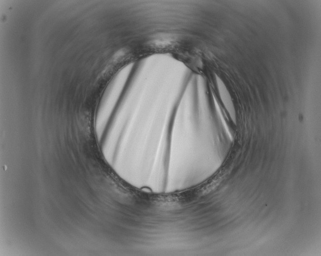 X0000076270664200610191741