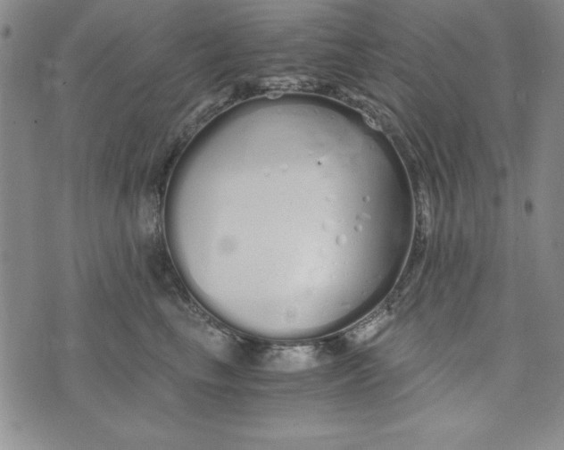 X0000076270665200610191741