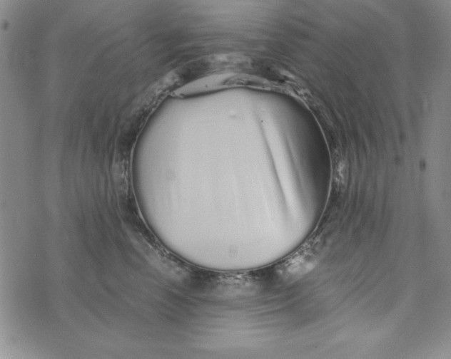 X0000076270666200610191741