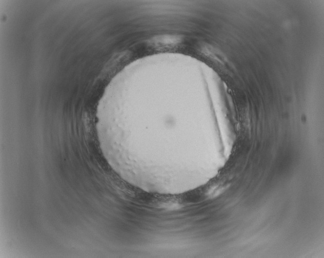 X0000076270667200610191741