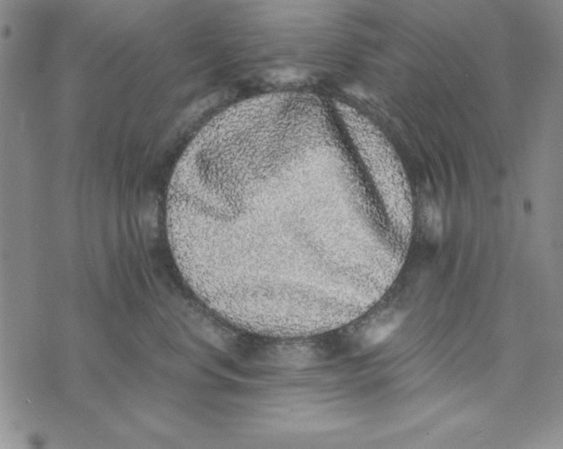 X0000076270668200610191741