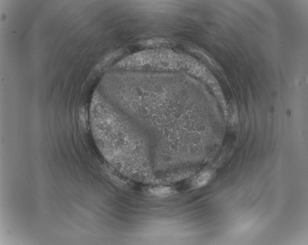 X0000076270669200610191741