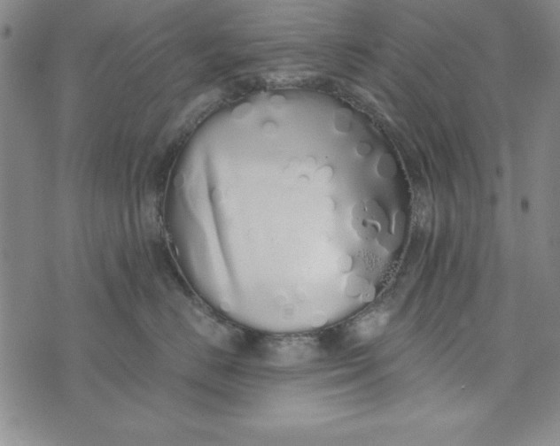 X0000076270670200610191741