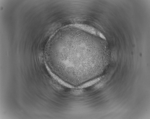 X0000076270671200610191741