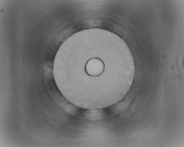 X0000076270672200610191741