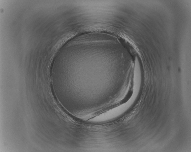 X0000076270673200610191740