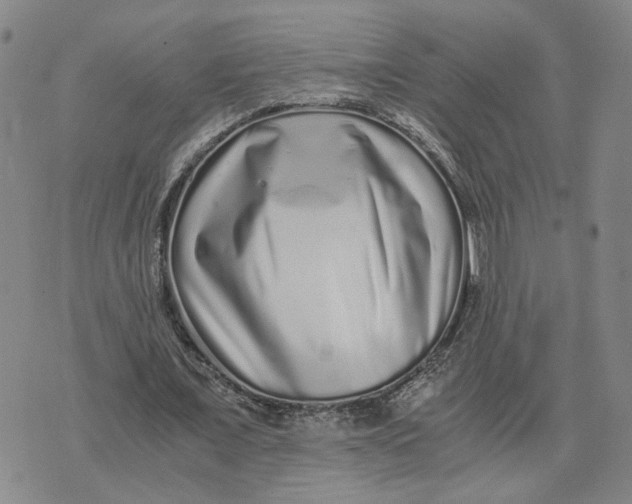 X0000076270675200610191740