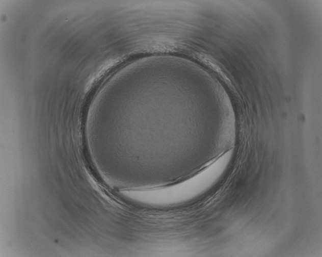 X0000076270677200610191740