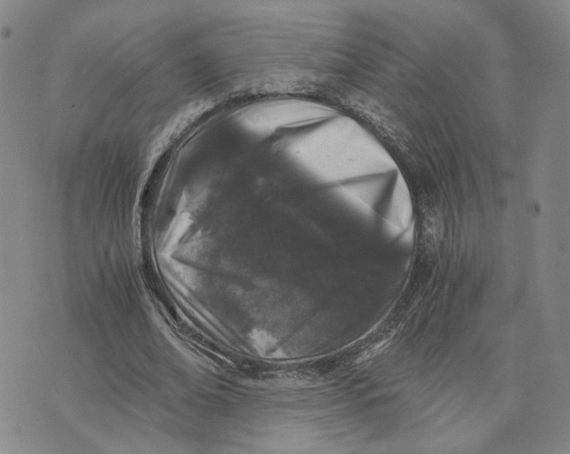 X0000076270678200610191740