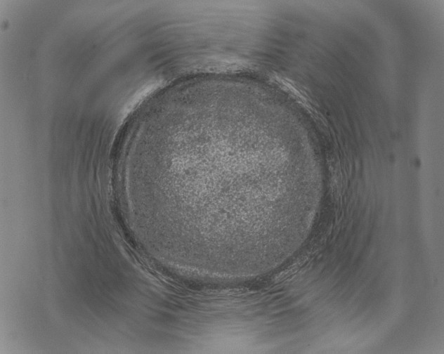 X0000076270679200610191740